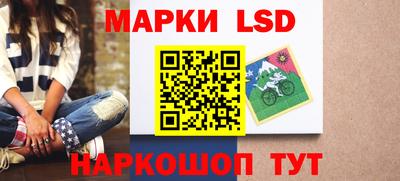 гашик Бийск