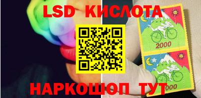 стафф Берёзовский