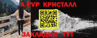 стафф Берёзовский