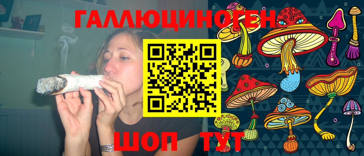 Галлюциногенные грибы Psilocybe  Вход с VPN  Губкинский 
